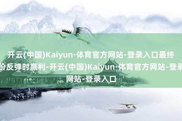 开云(中国)Kaiyun·体育官方网站-登录入口最终在股价反弹时赢利-开云(中国)Kaiyun·体育官方网站-登录入口
