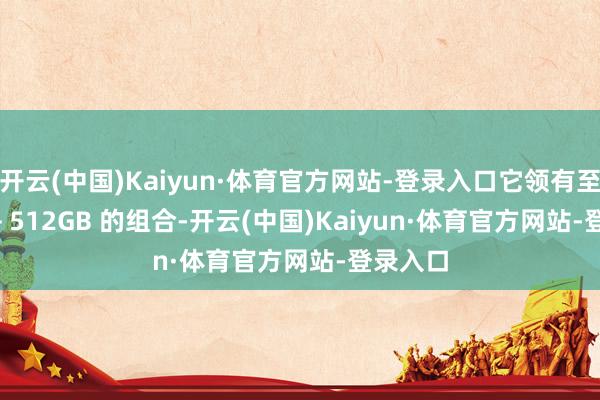 开云(中国)Kaiyun·体育官方网站-登录入口它领有至高 12 + 512GB 的组合-开云(中国)Kaiyun·体育官方网站-登录入口