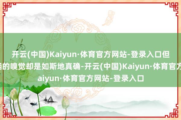 开云(中国)Kaiyun·体育官方网站-登录入口但是这种彼此包涵的嗅觉却是如斯地真确-开云(中国)Kaiyun·体育官方网站-登录入口