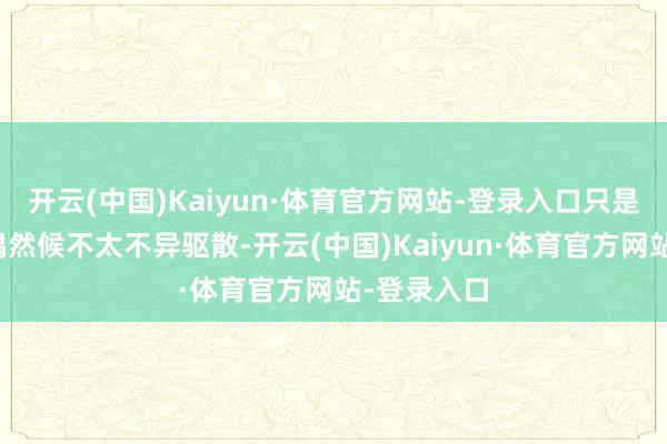 开云(中国)Kaiyun·体育官方网站-登录入口只是神志才智偶然候不太不异驱散-开云(中国)Kaiyun·体育官方网站-登录入口
