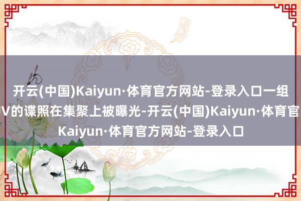 开云(中国)Kaiyun·体育官方网站-登录入口一组魏牌全新旗舰SUV的谍照在集聚上被曝光-开云(中国)Kaiyun·体育官方网站-登录入口