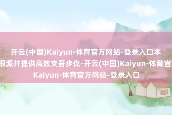 开云(中国)Kaiyun·体育官方网站-登录入口本指南将领悟掉线根源并提供高效支吾步伐-开云(中国)Kaiyun·体育官方网站-登录入口