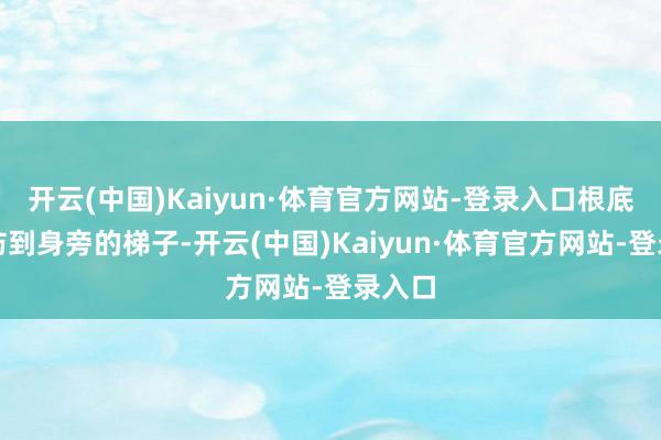 开云(中国)Kaiyun·体育官方网站-登录入口根底没提防到身旁的梯子-开云(中国)Kaiyun·体育官方网站-登录入口
