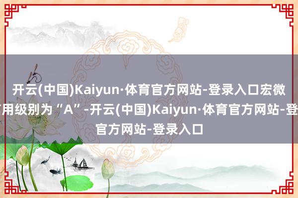 开云(中国)Kaiyun·体育官方网站-登录入口宏微转债信用级别为“A”-开云(中国)Kaiyun·体育官方网站-登录入口