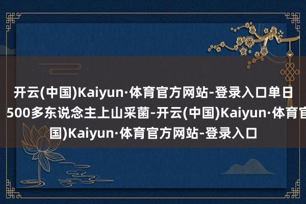 开云(中国)Kaiyun·体育官方网站-登录入口单日就有向上40辆车、500多东说念主上山采菌-开云(中国)Kaiyun·体育官方网站-登录入口