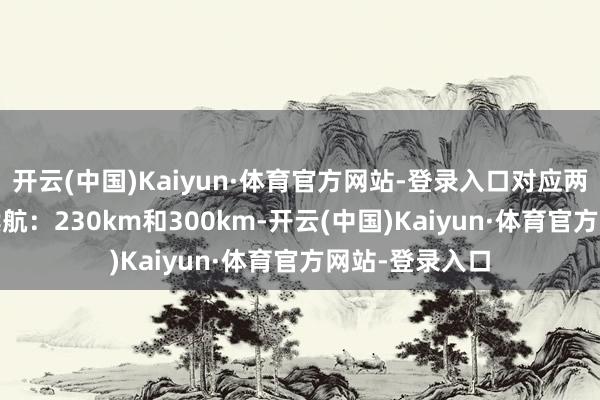 开云(中国)Kaiyun·体育官方网站-登录入口对应两种CLTC纯电续航:230km和300km-开云(中国)Kaiyun·体育官方网站-登录入口