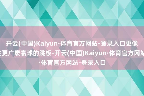 开云(中国)Kaiyun·体育官方网站-登录入口更像是一个通往更广袤寰球的跳板-开云(中国)Kaiyun·体育官方网站-登录入口