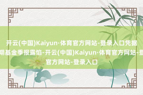 开云(中国)Kaiyun·体育官方网站-登录入口凭据最新一期基金季报露馅-开云(中国)Kaiyun·体育官方网站-登录入口